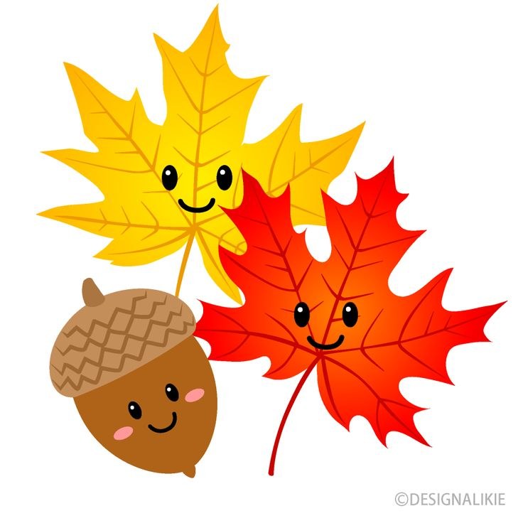 Fall Coloring Contest