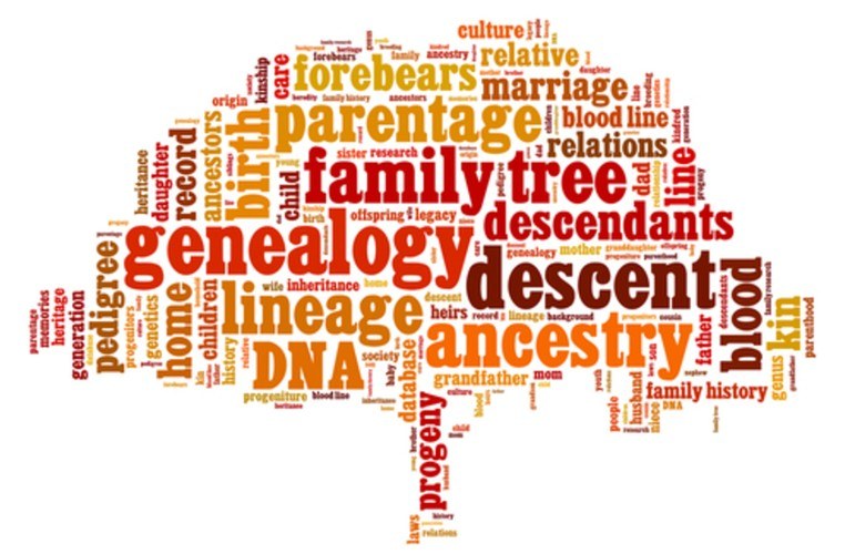 Genealogy 101